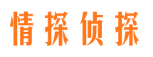 阿里市私家侦探